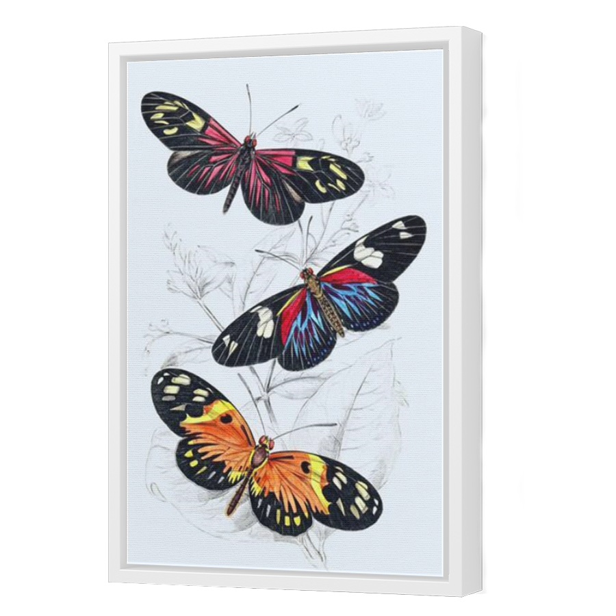 Thumbnail for Canvas - White Floating Frame