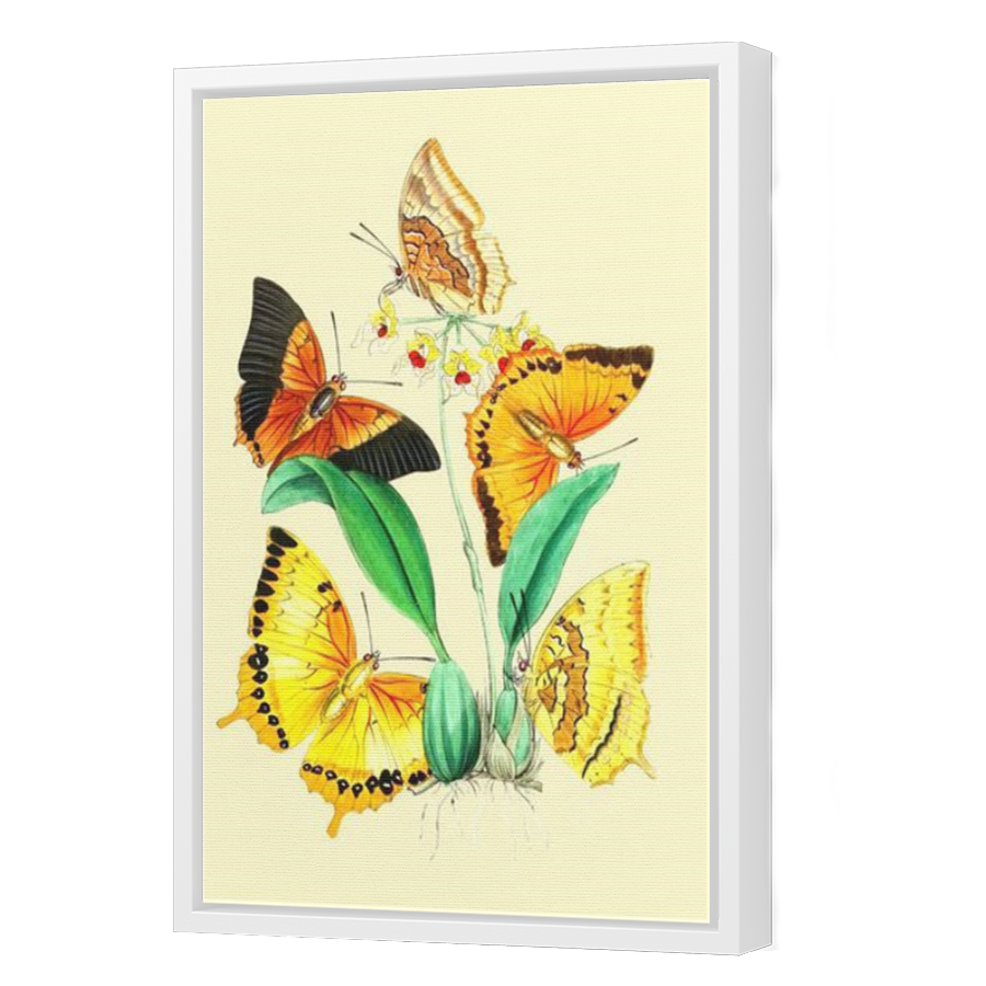Thumbnail for Canvas - White Floating Frame