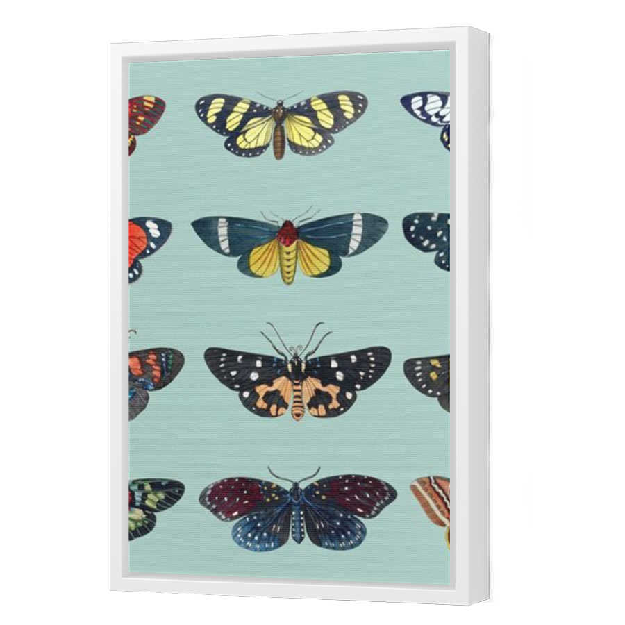 Thumbnail for Canvas - White Floating Frame