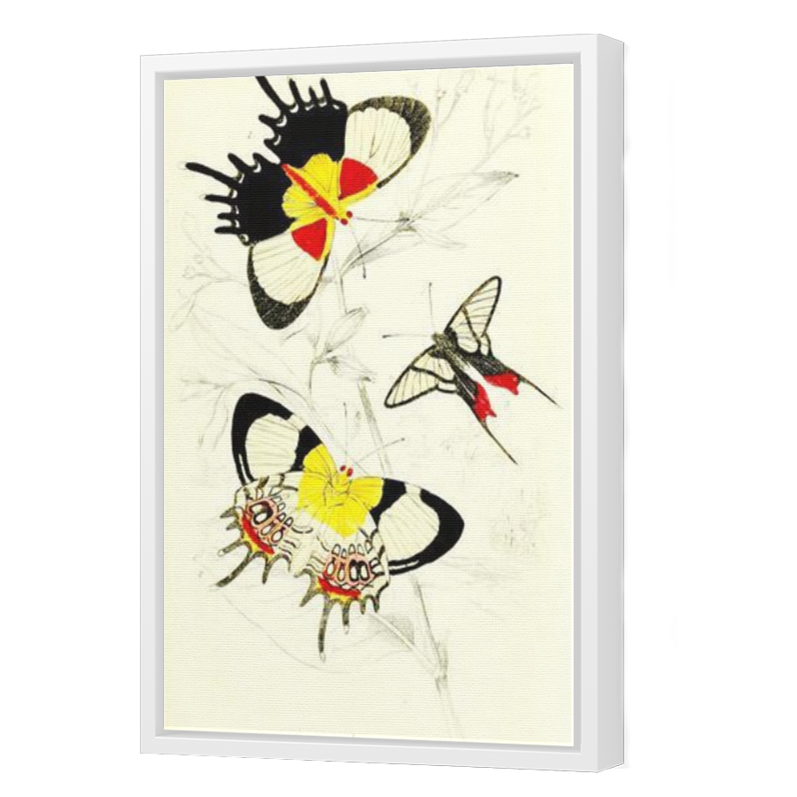 Thumbnail for Canvas - White Floating Frame