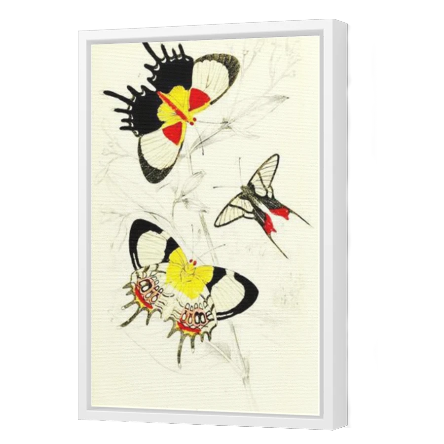 Thumbnail for Canvas - White Floating Frame