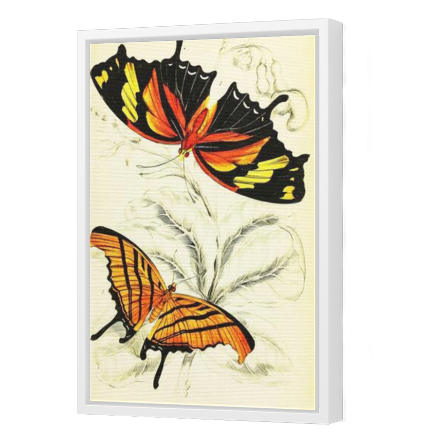 Thumbnail for Canvas - White Floating Frame