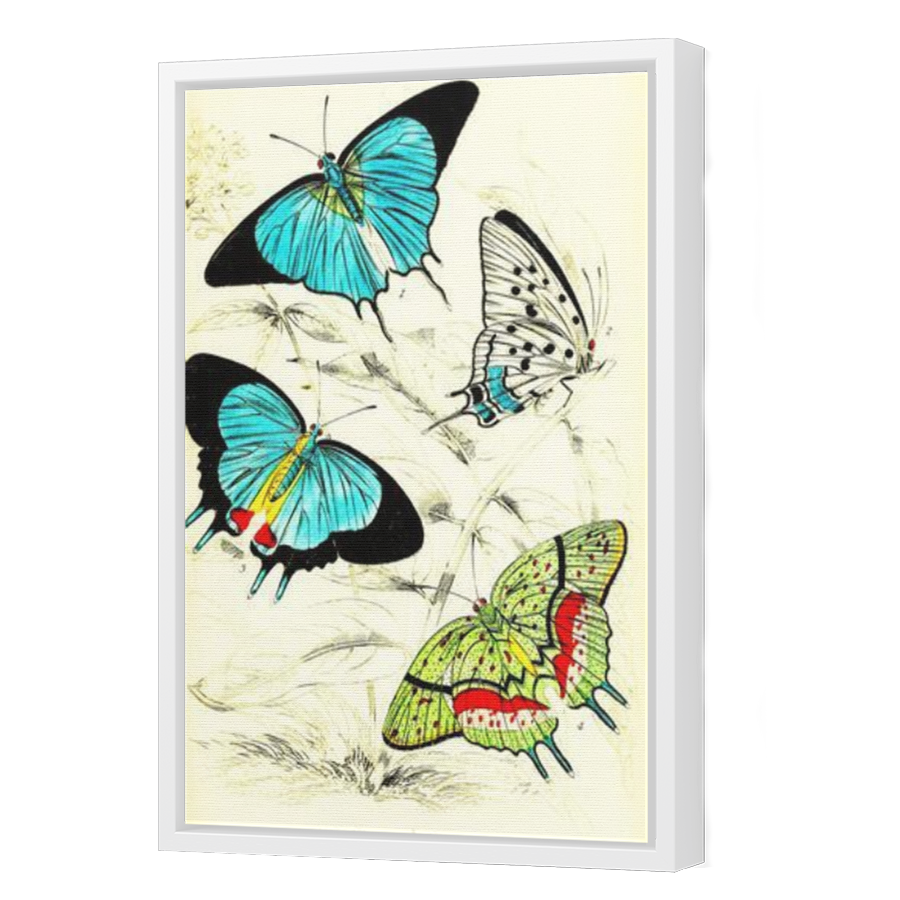 Thumbnail for Canvas - White Floating Frame