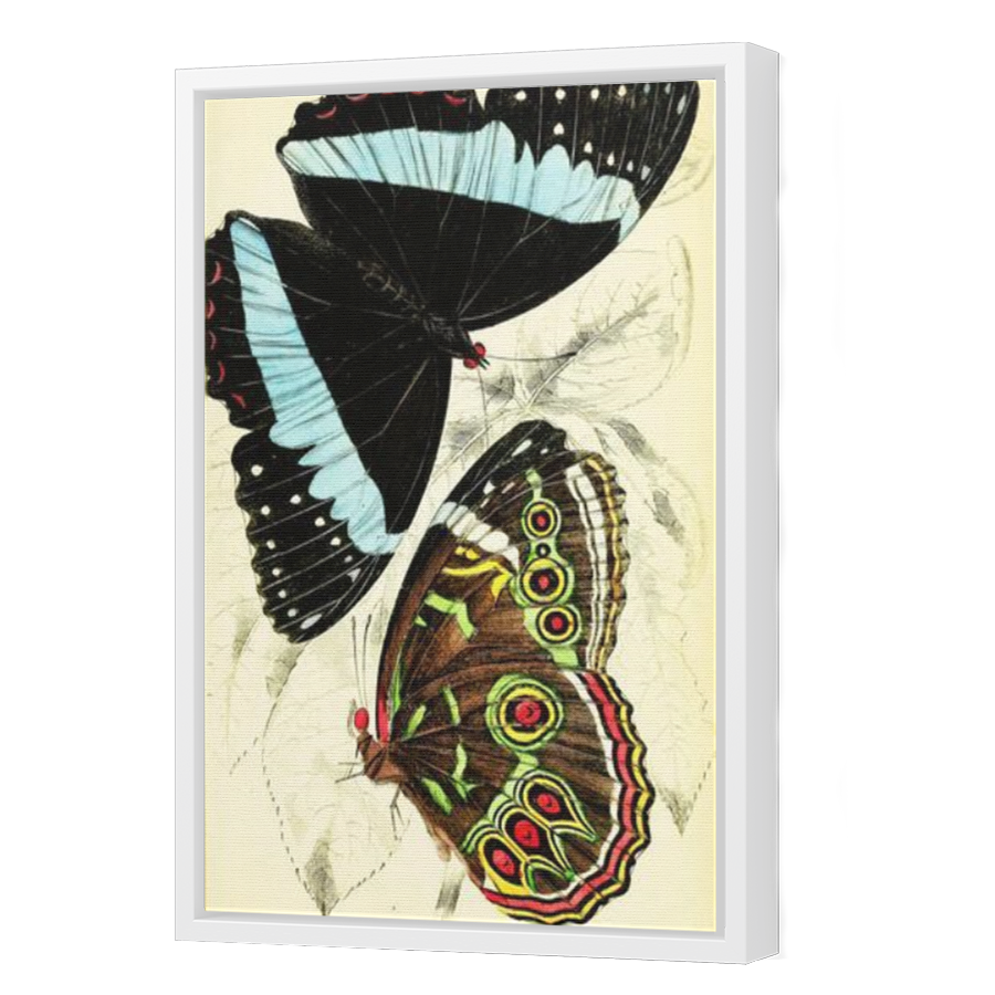 Thumbnail for Canvas - White Floating Frame