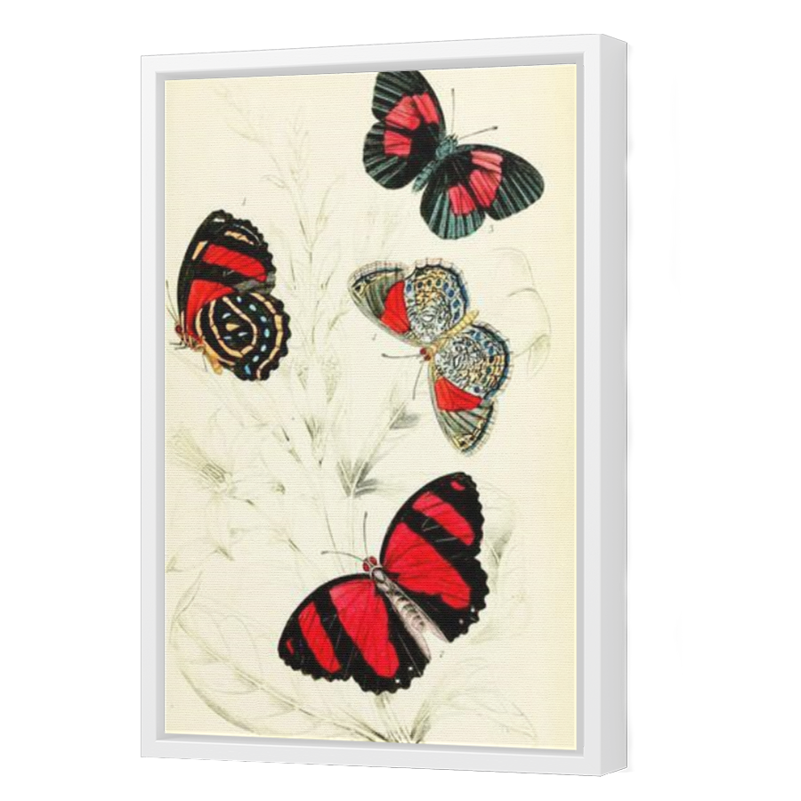 Thumbnail for Canvas - White Floating Frame