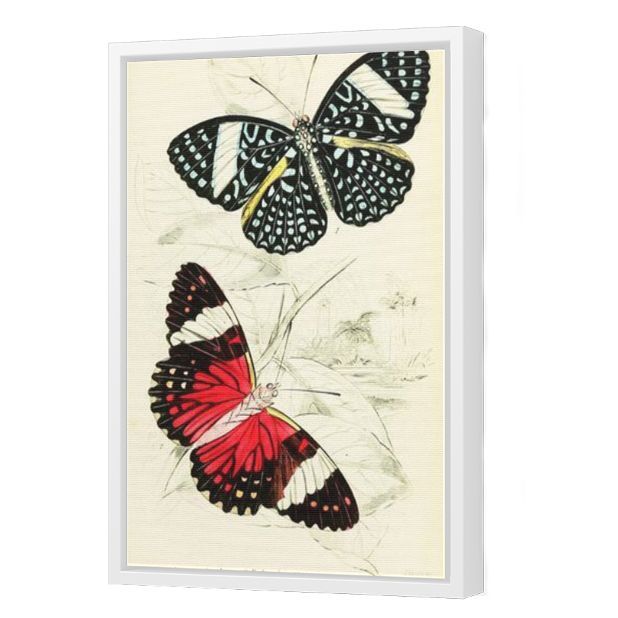 Thumbnail for Canvas - White Floating Frame