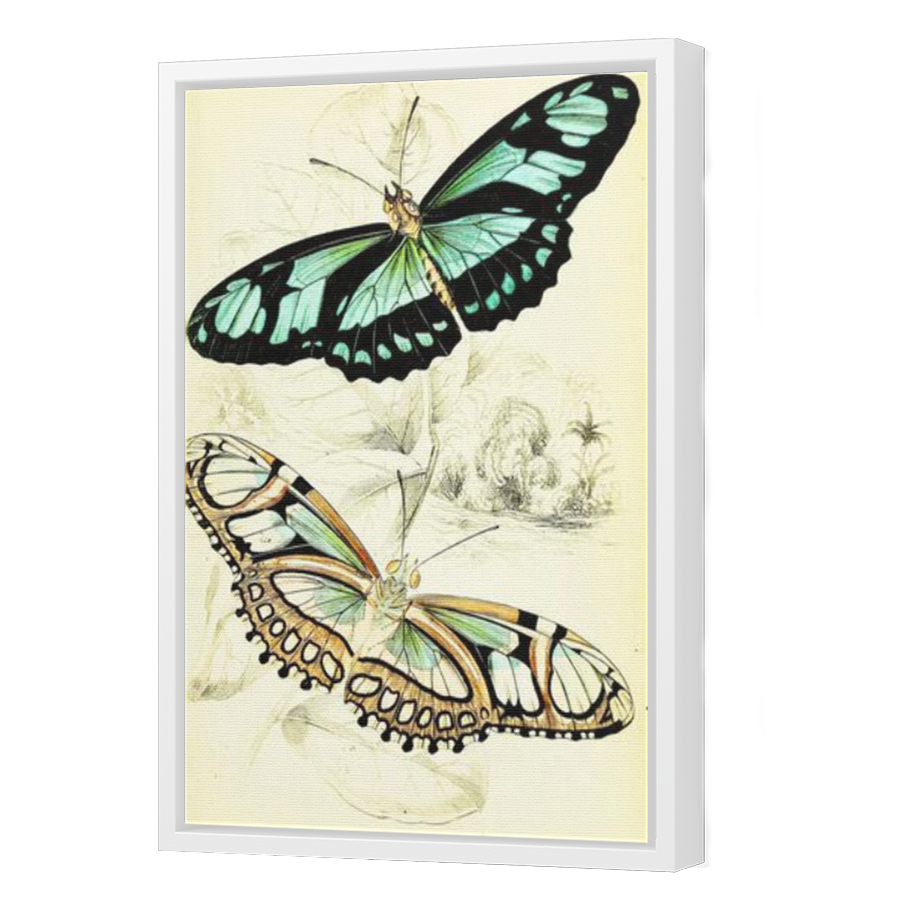 Thumbnail for Canvas - White Floating Frame