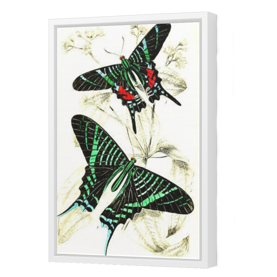 Thumbnail for Canvas - White Floating Frame