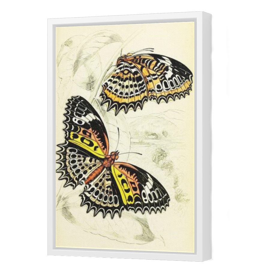 Thumbnail for Canvas - White Floating Frame