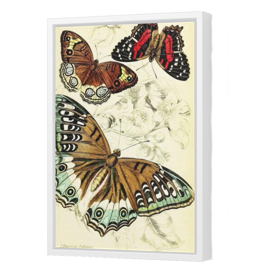 Thumbnail for Canvas - White Floating Frame