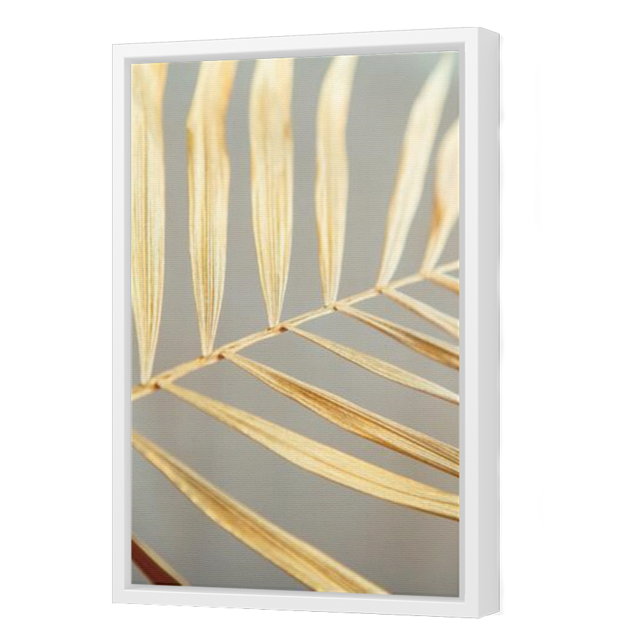 Thumbnail for Canvas - White Floating Frame