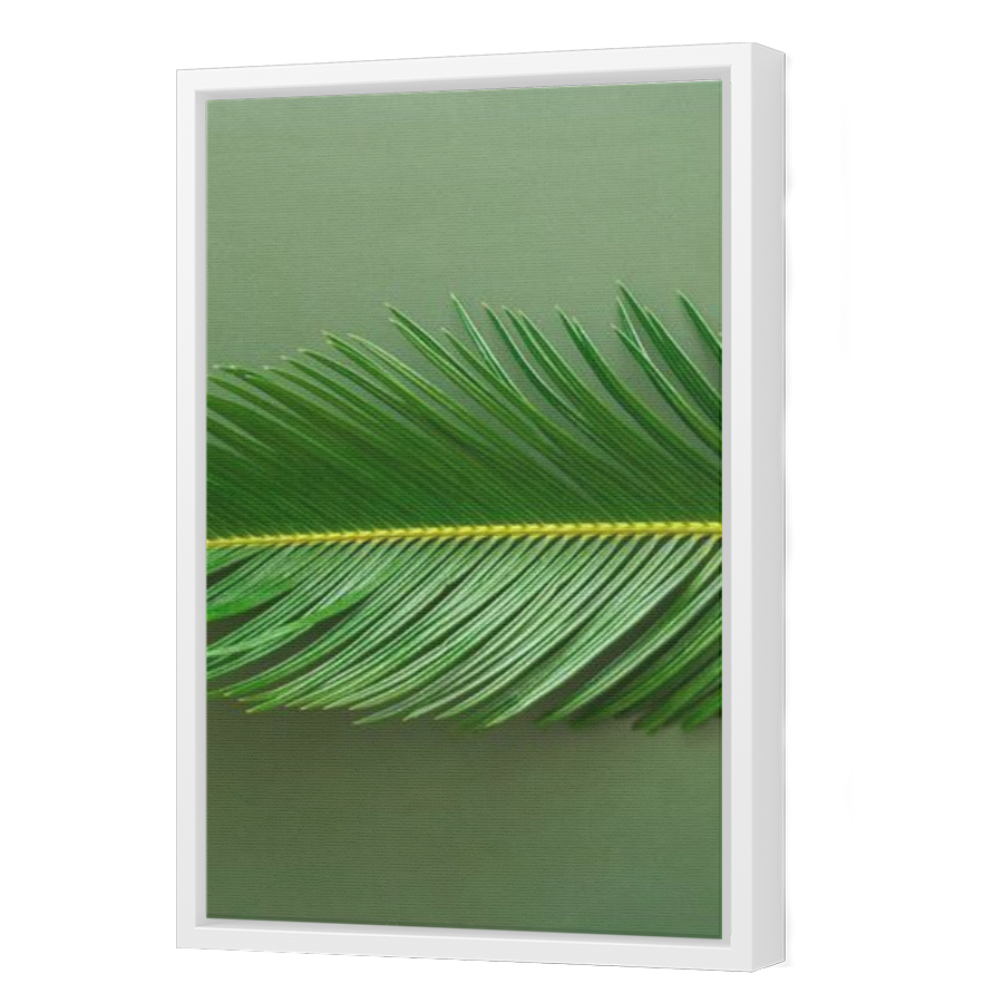 Thumbnail for Canvas - White Floating Frame