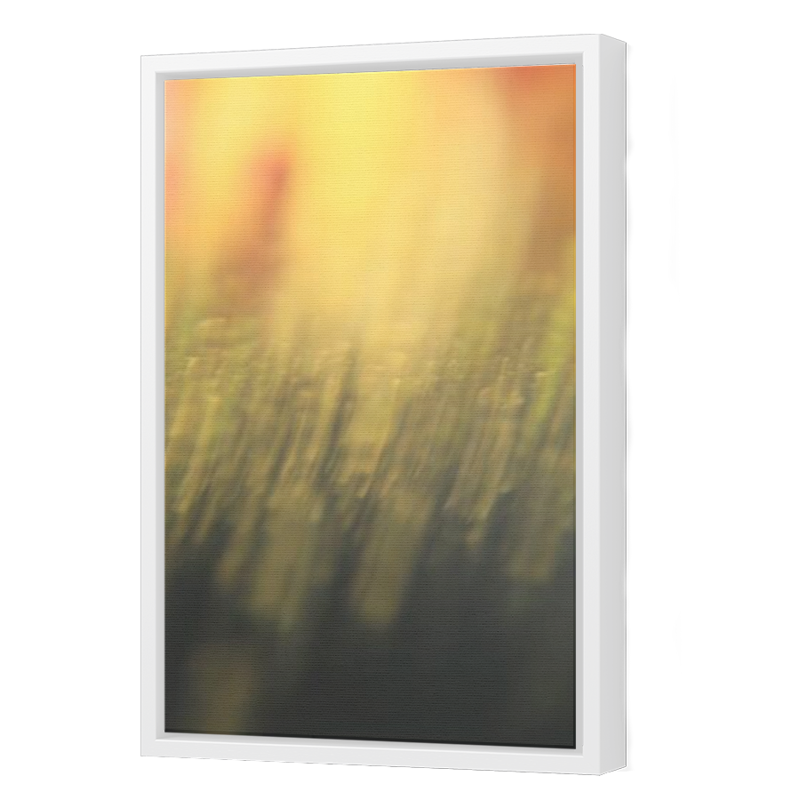 Thumbnail for Canvas - White Floating Frame
