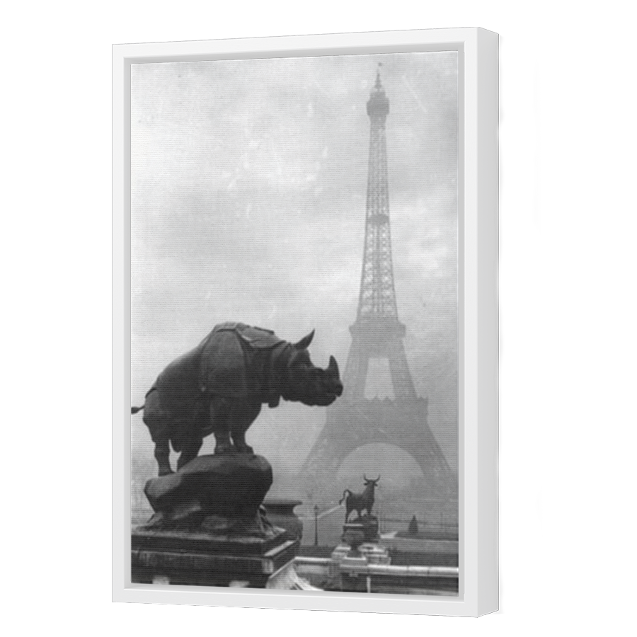 Thumbnail for Canvas - White Floating Frame