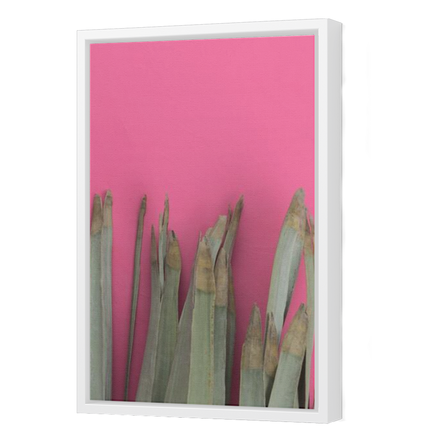 Thumbnail for Canvas - White Floating Frame