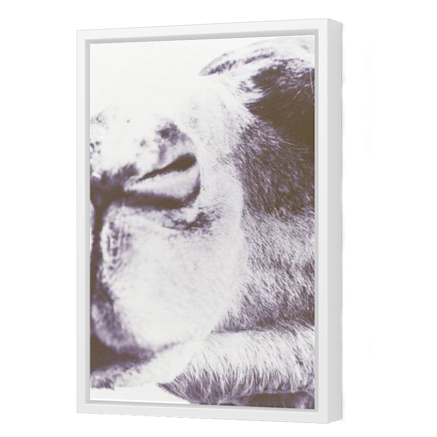 Thumbnail for Canvas - White Floating Frame