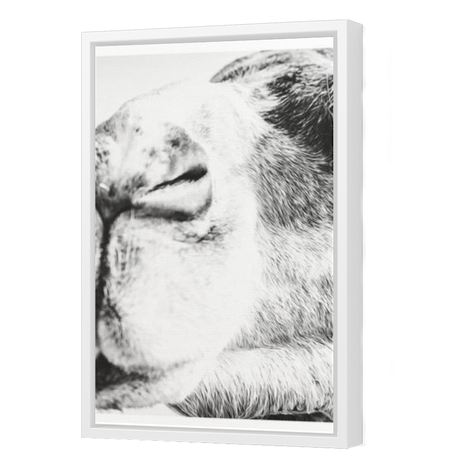 Thumbnail for Canvas - White Floating Frame