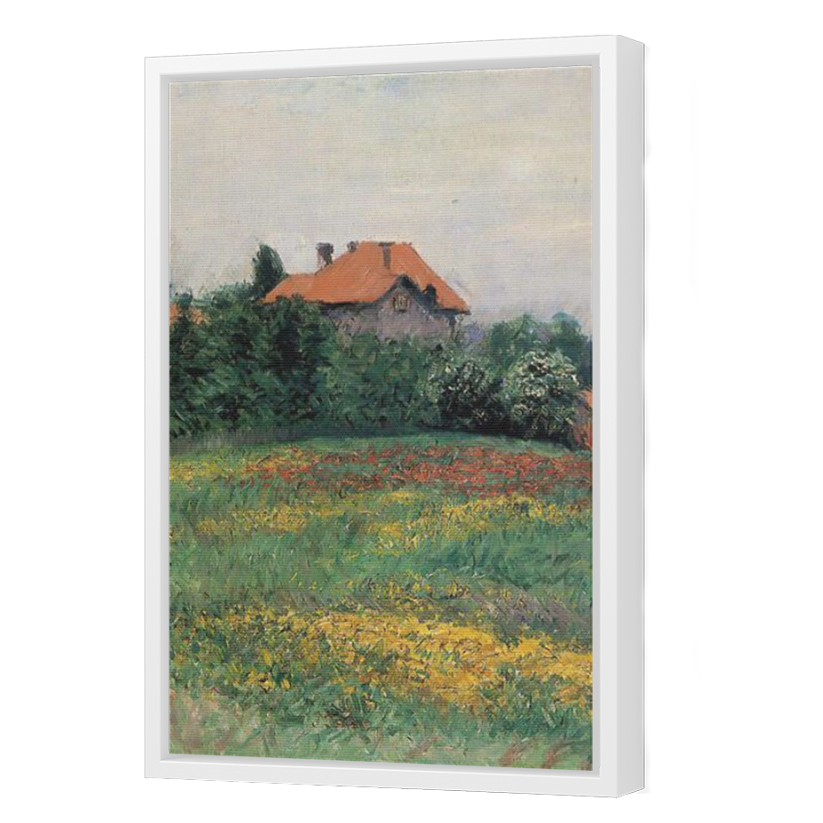 Thumbnail for Canvas - White Floating Frame