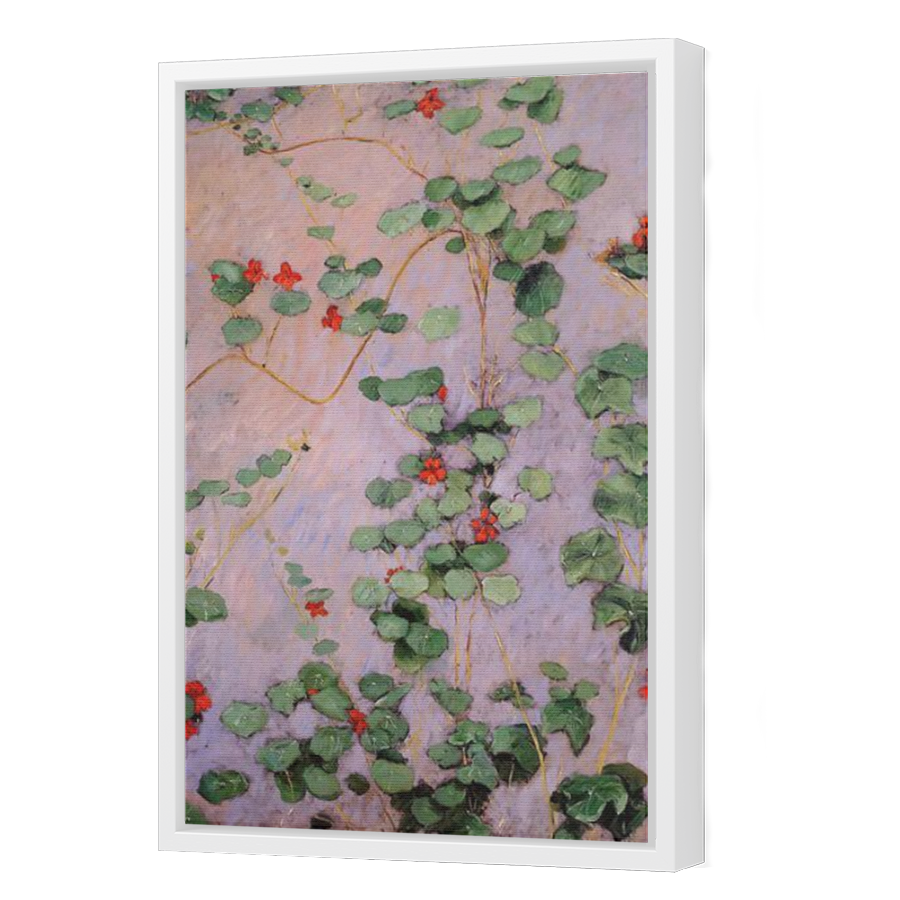 Thumbnail for Canvas - White Floating Frame
