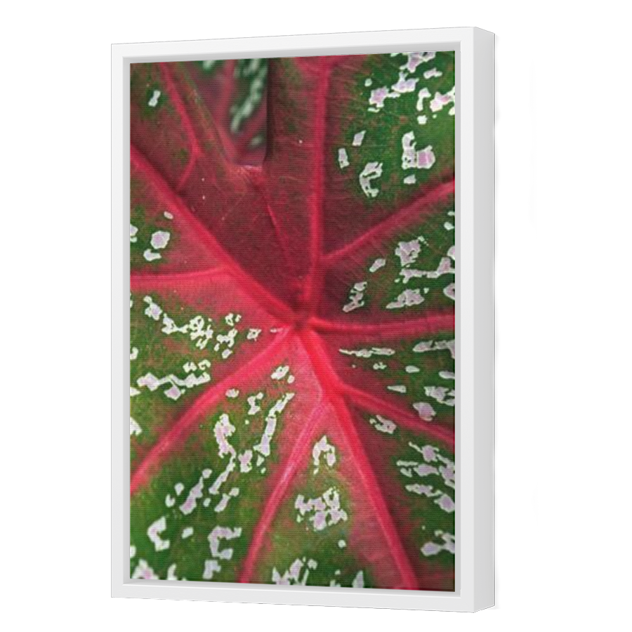 Thumbnail for Canvas - White Floating Frame