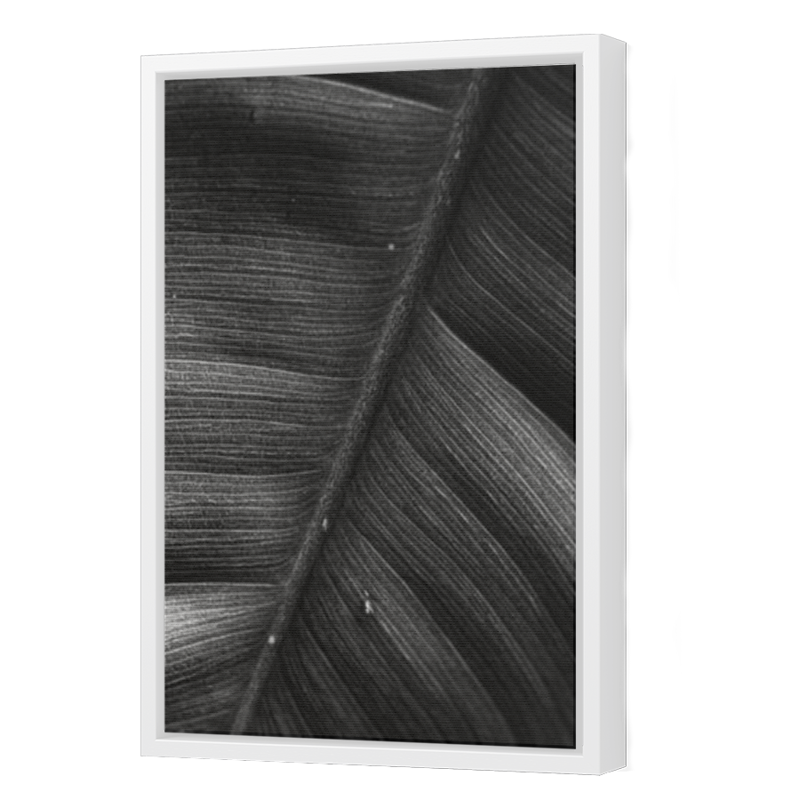 Thumbnail for Canvas - White Floating Frame