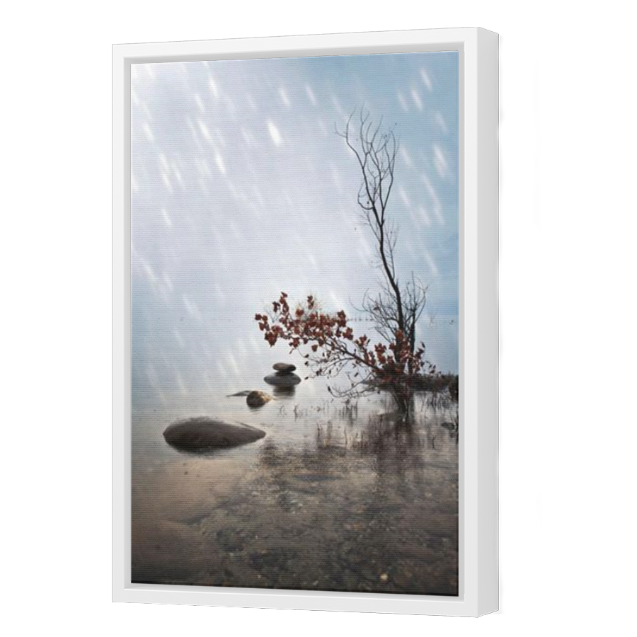 Thumbnail for Canvas - White Floating Frame
