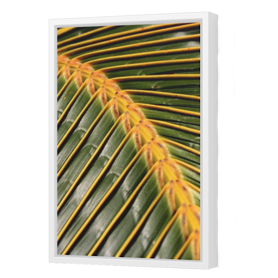 Thumbnail for Canvas - White Floating Frame