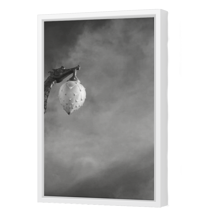 Thumbnail for Canvas - White Floating Frame