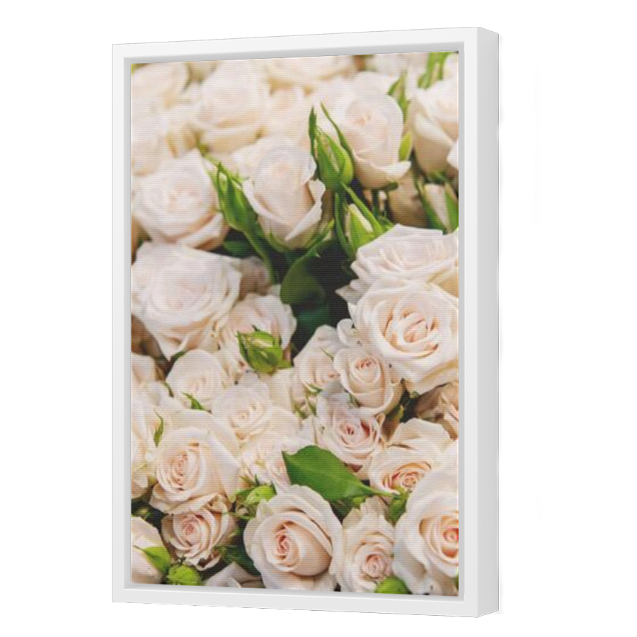 Thumbnail for Canvas - White Floating Frame