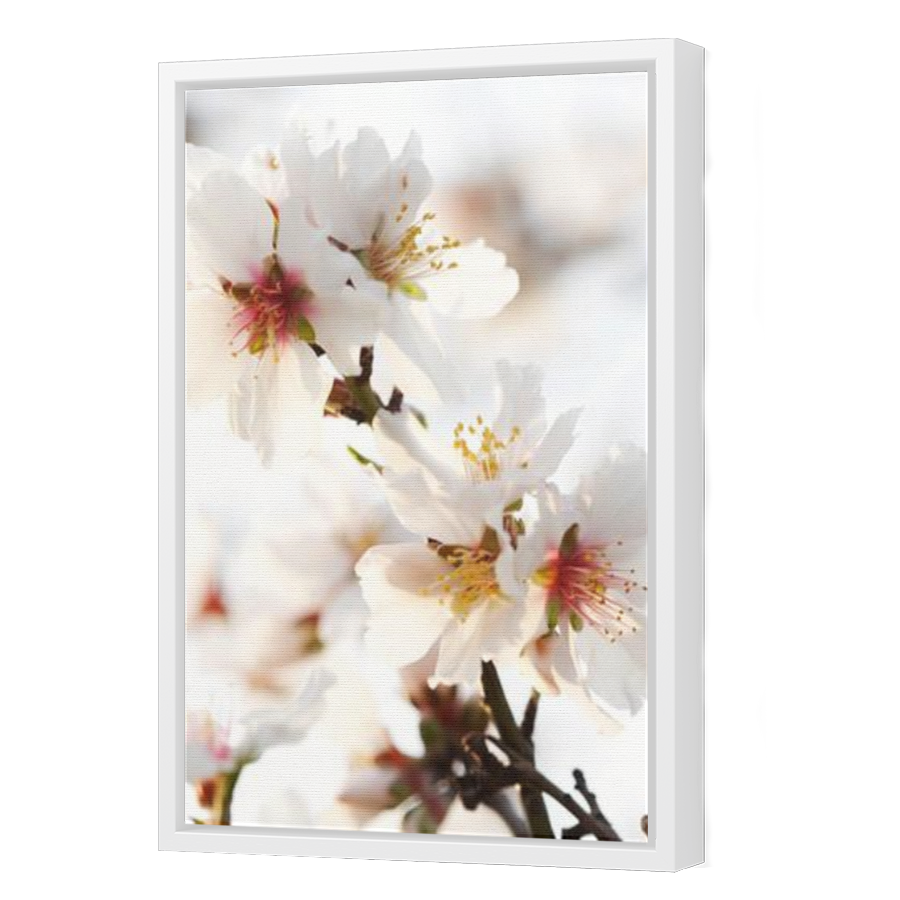 Thumbnail for Canvas - White Floating Frame