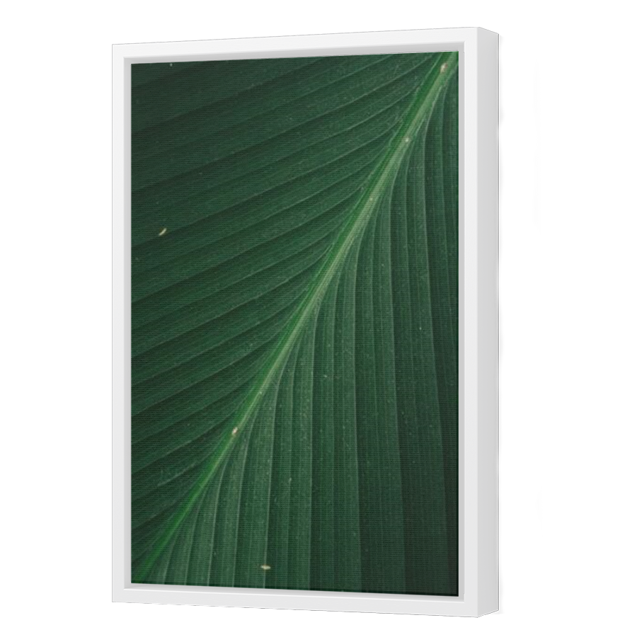 Thumbnail for Canvas - White Floating Frame