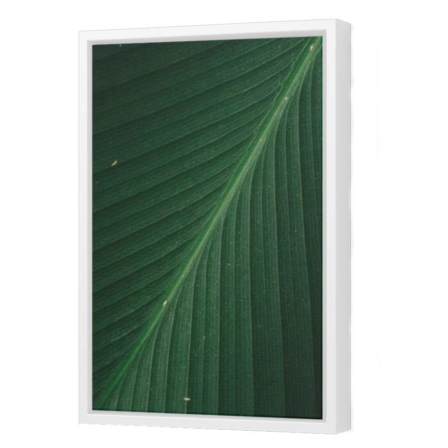 Thumbnail for Canvas - White Floating Frame