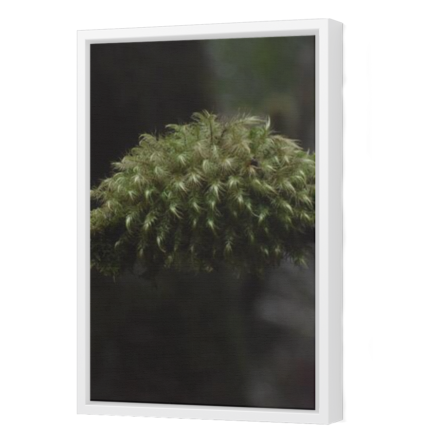 Thumbnail for Canvas - White Floating Frame