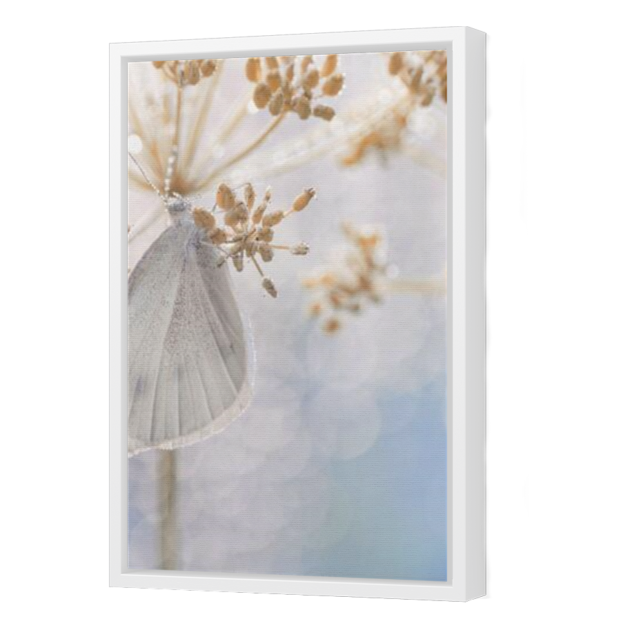 Thumbnail for Canvas - White Floating Frame