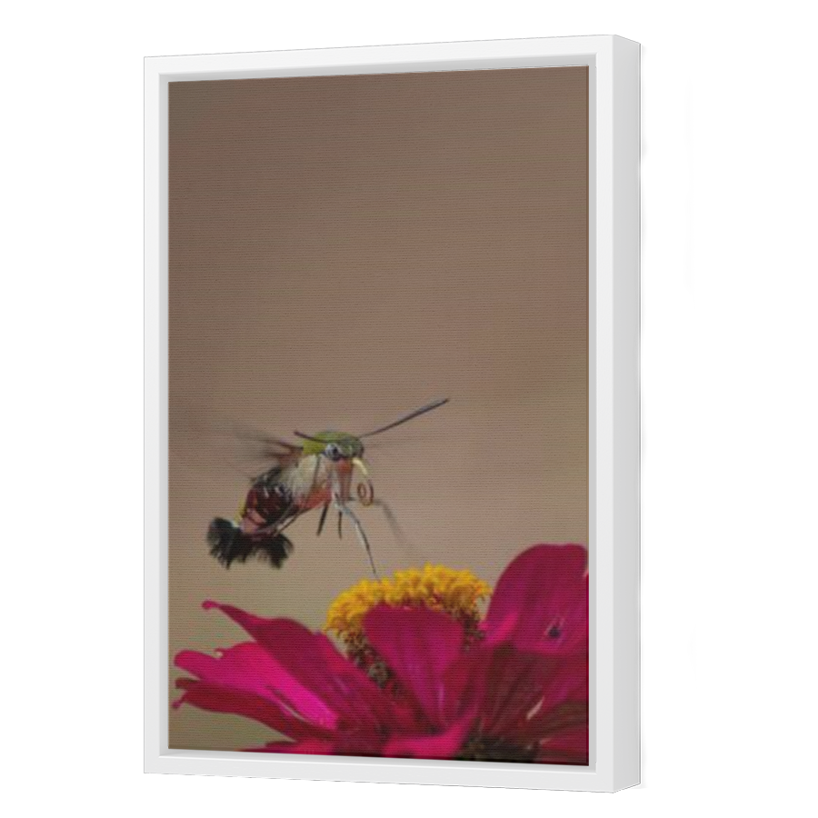 Thumbnail for Canvas - White Floating Frame