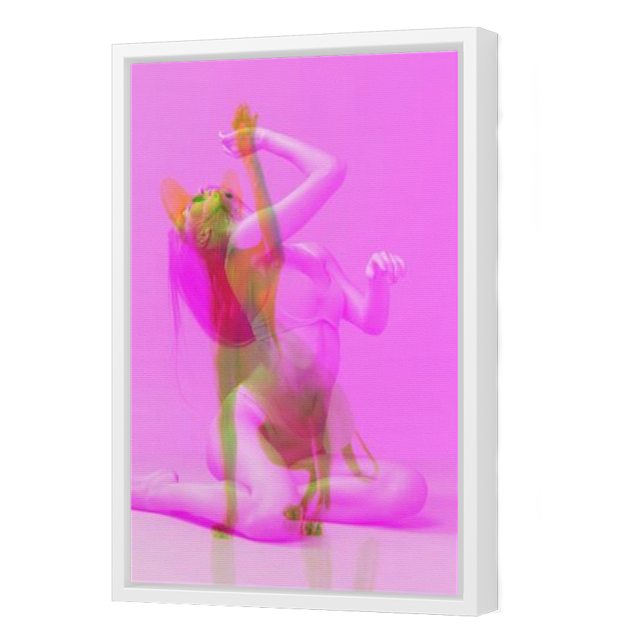 Thumbnail for Canvas - White Floating Frame