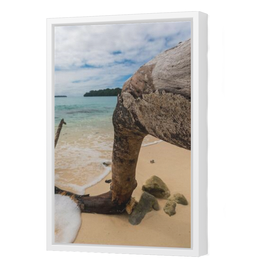 Thumbnail for Canvas - White Floating Frame