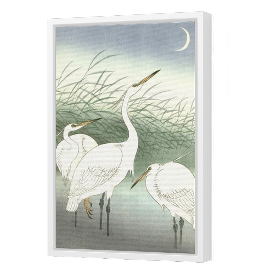 Thumbnail for Canvas - White Floating Frame