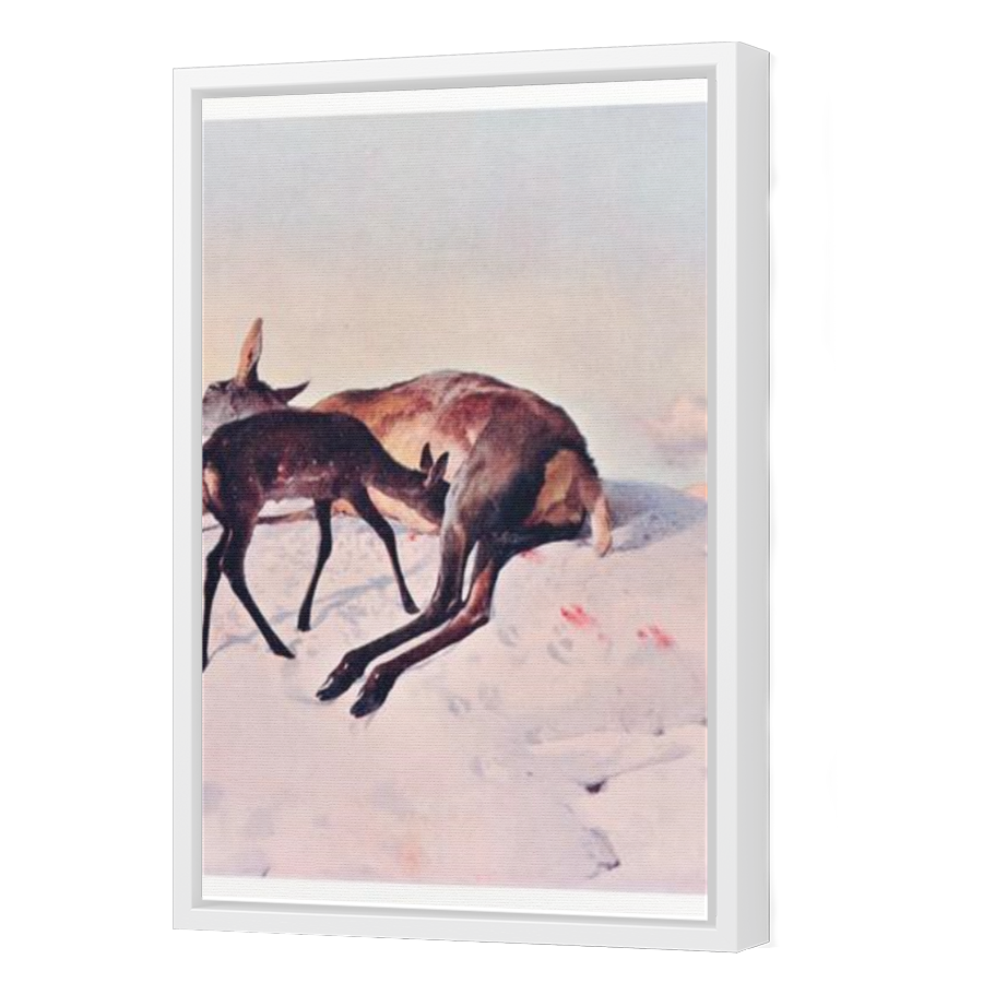 Thumbnail for Canvas - White Floating Frame