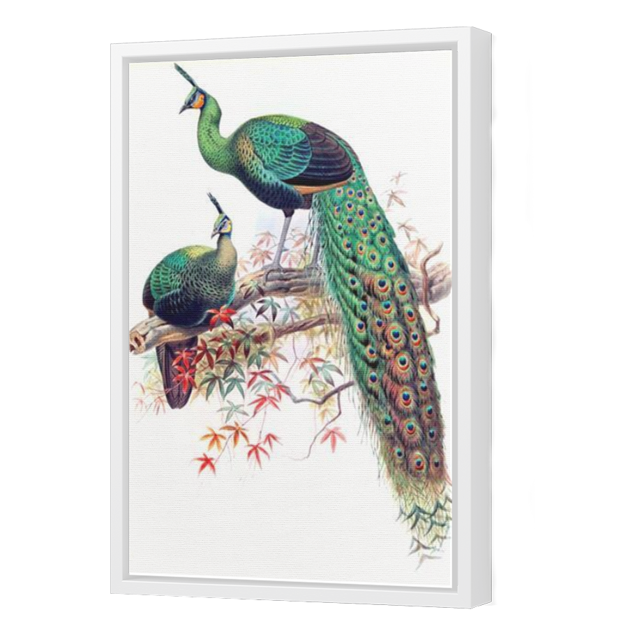 Thumbnail for Canvas - White Floating Frame