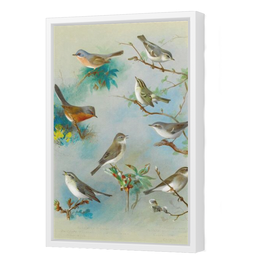 Thumbnail for Canvas - White Floating Frame