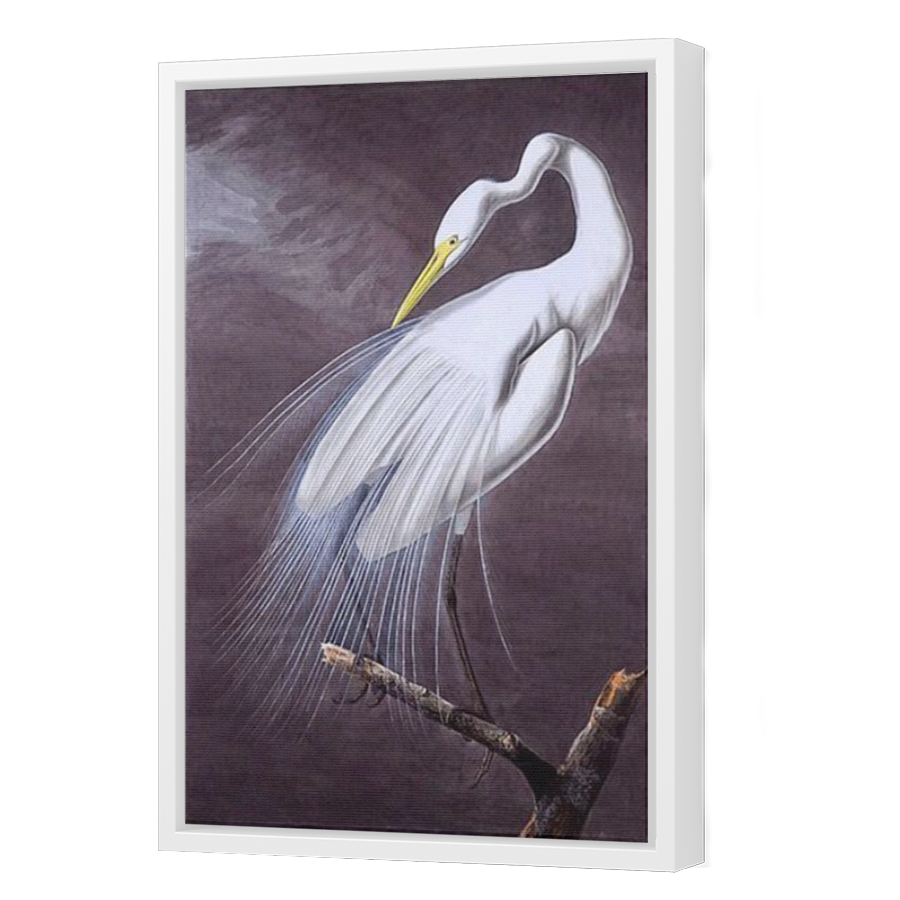 Thumbnail for Canvas - White Floating Frame