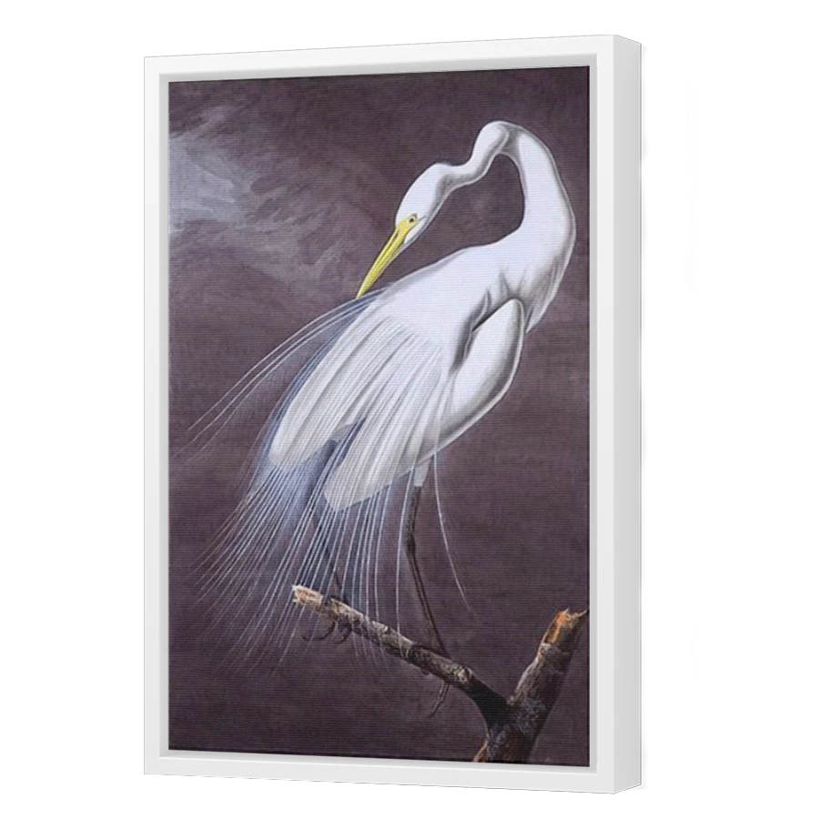 Thumbnail for Canvas - White Floating Frame