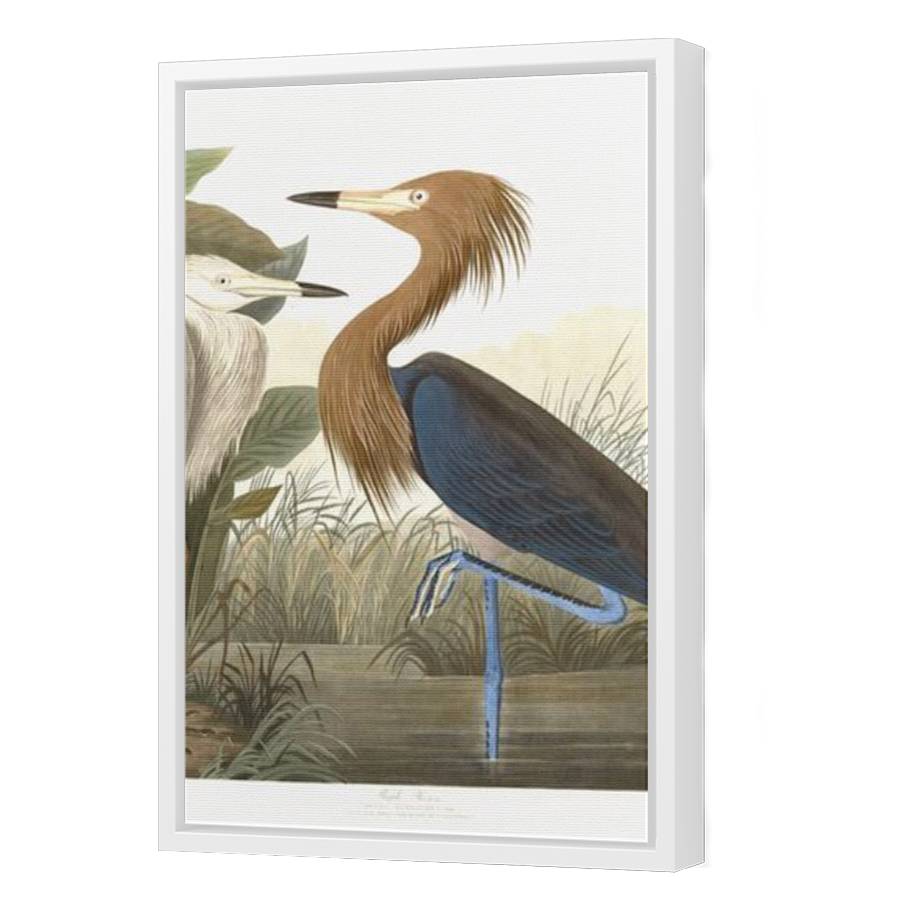 Thumbnail for Canvas - White Floating Frame