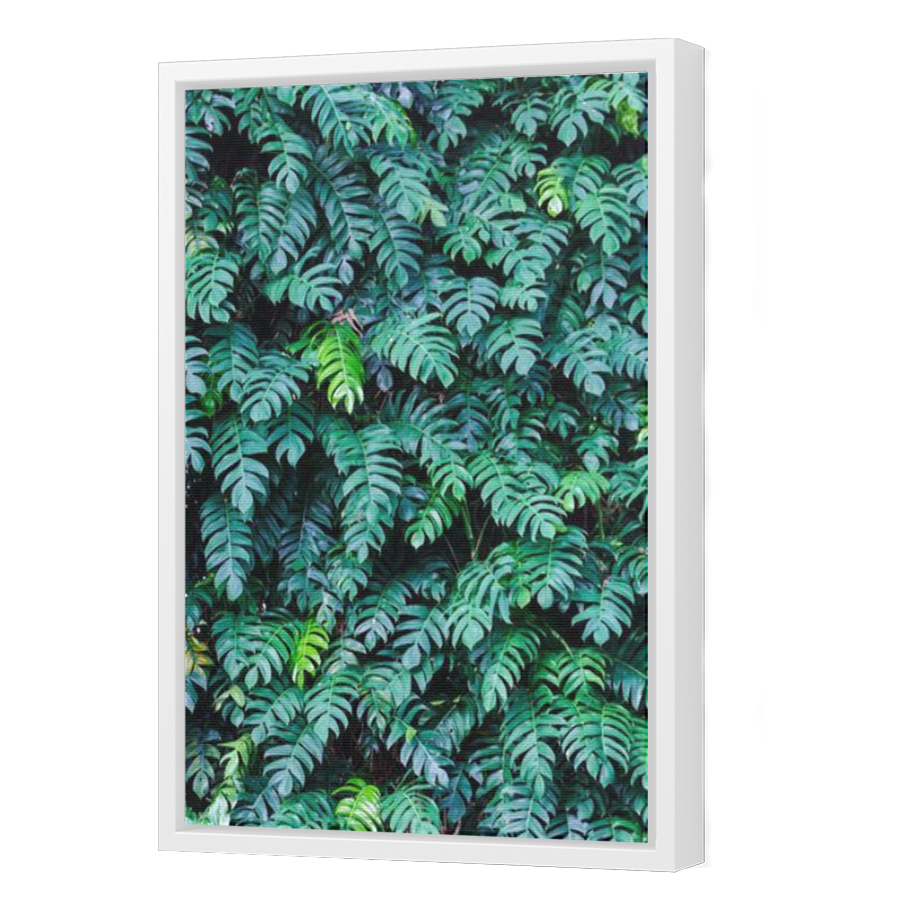 Thumbnail for Canvas - White Floating Frame