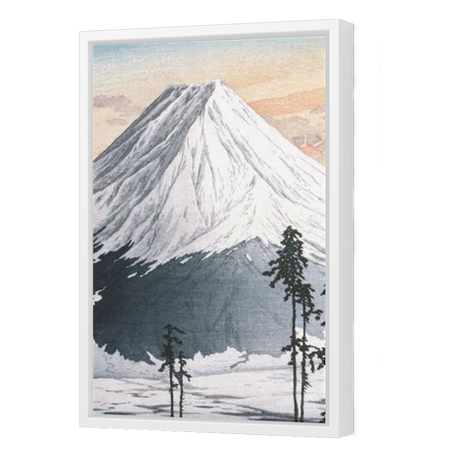 Thumbnail for Canvas - White Floating Frame