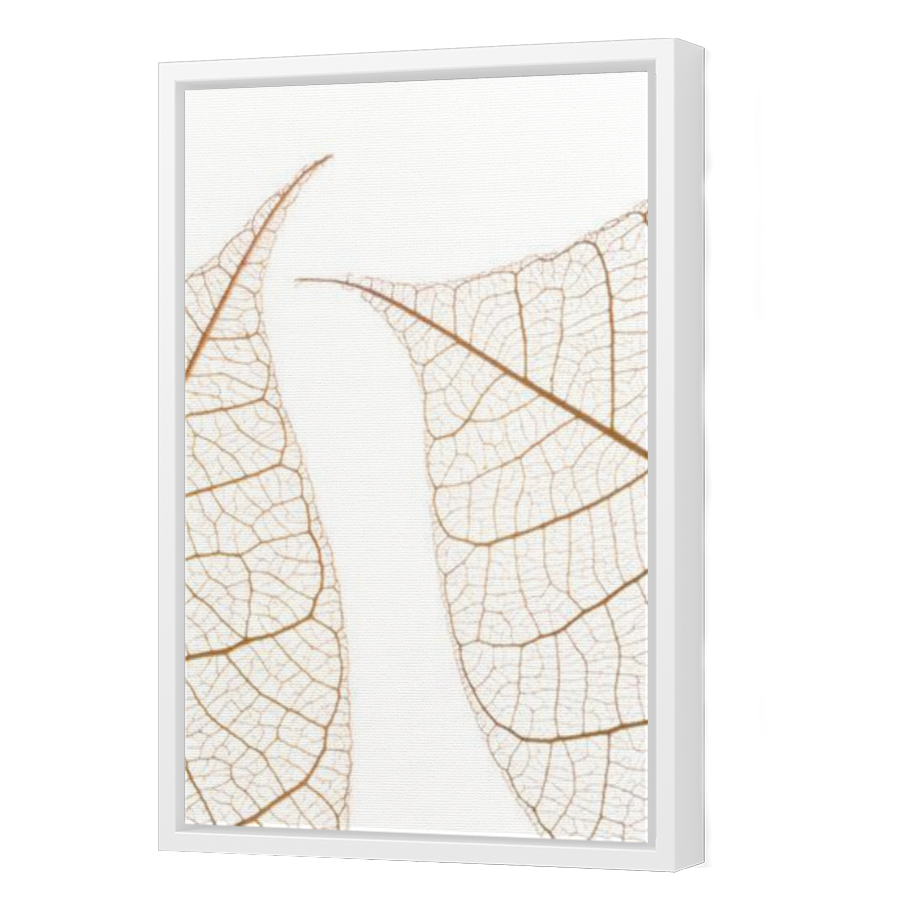Thumbnail for Canvas - White Floating Frame