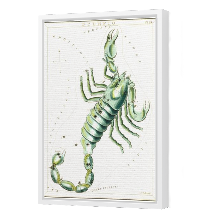 Thumbnail for Canvas - White Floating Frame