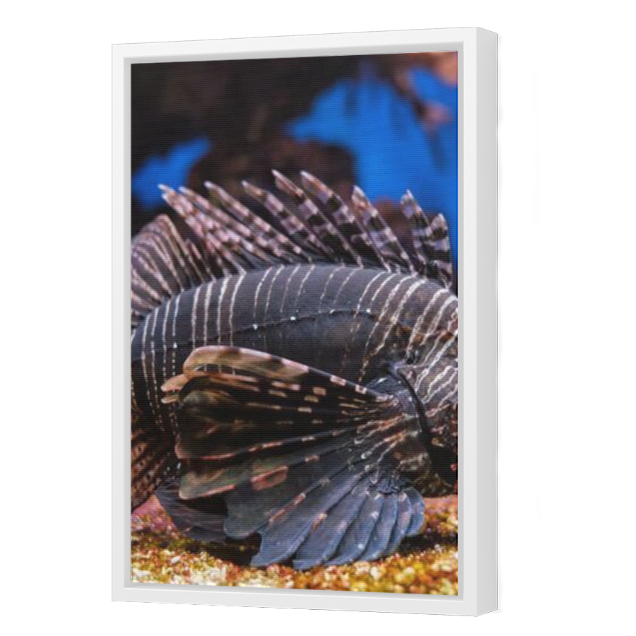 Thumbnail for Canvas - White Floating Frame