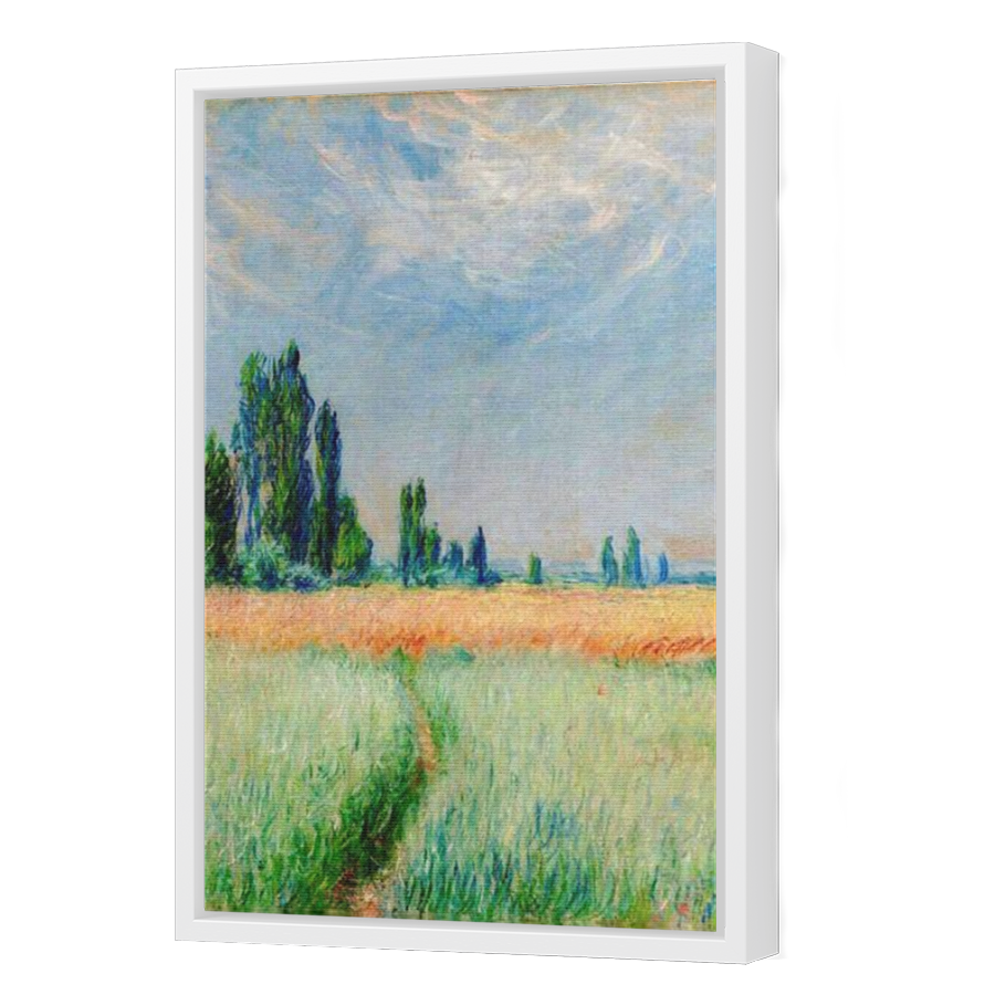 Thumbnail for Canvas - White Floating Frame